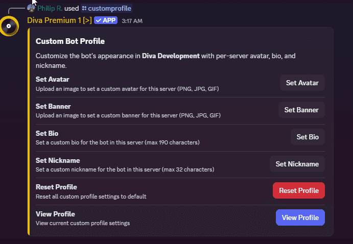 Premium Bots Customization